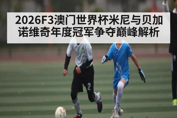 2026F3澳门世界杯米尼与贝加诺维奇年度冠军争夺巅峰解析